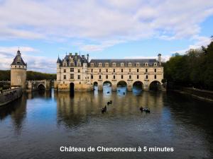 Maisons de vacances Le chant des bois - a 5 min du Chateau de Chenonceau : photos des chambres