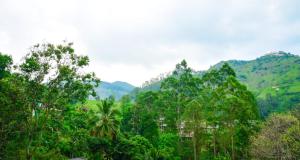 Liyon Hotel