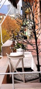 Papus Home City Center