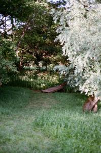 Off-grid Cork Cabin - Hot-Tub - Sleeps 2