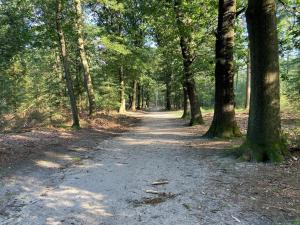 Beautiful chalet in the woods of the Veluwe