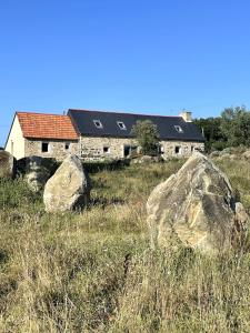 Menhirs et Moutons Ouessant