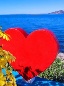 Titicaca lakeside peru