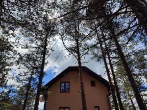 Apartman Sofija