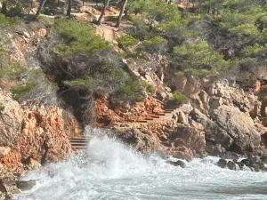 Appartements L-appart : photos des chambres