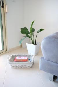 Sun n Sand Apartment