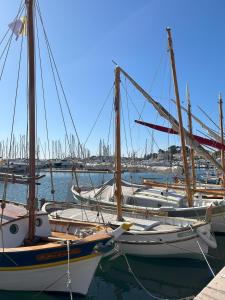 Appartements L-appart : Appartement - Rez-de-Chaussée