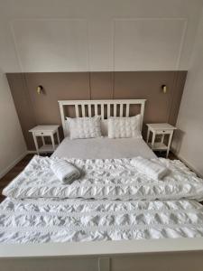 Sika Amazon Premium Apartment- private parking