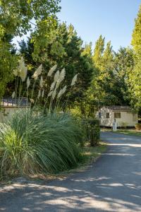 Campings Camping les mizottes : photos des chambres