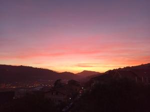 Il Glicine cozy appartamnent, near Sestri Levante between Cinque terre e Portofino