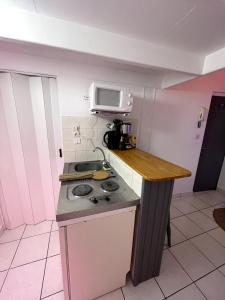 Le Duplex coeur de ville rue de bourgogne