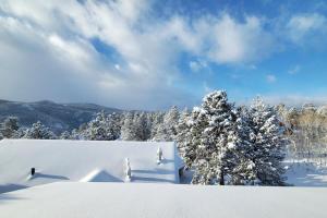 Luxurious Rocky Mountain Retreat above Boulder