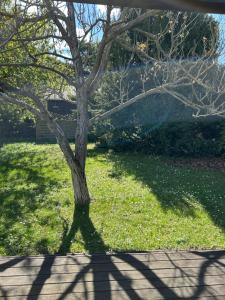 Birkenhof Vendégház