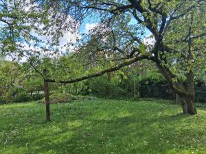 Birkenhof Vendégház