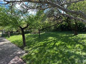 Birkenhof Vendégház