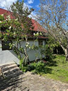 Birkenhof Vendégház
