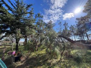 Maisons de vacances Maison renovee 3 chambres pres de l-ocean avec jardin ferme et WiFi - FR-1-194-290 : photos des chambres