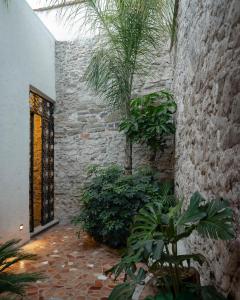 Solazul Experiencia & Estancia