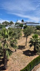 Dominión Park Apartamento