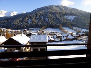 Appartements Charmant appartement 6 pers avec balcon sud au Grand-Bornand - FR-1-458-222 : photos des chambres