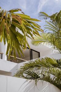 Elements A6 Villa Bingin