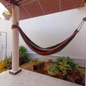 Salty Palm Villa