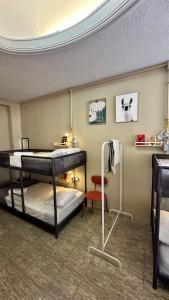 Casa Artemisa hostal