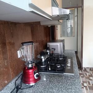 Cozy and nice brand new Enace apartment