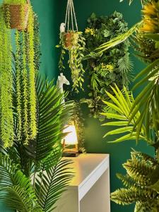 Jungle Suite Jacuzzi Spa Terrasse, Wi-Fi & Parking PV