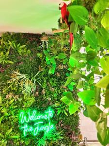 Jungle Suite ,Terrasse, Wi-Fi & Parking PV