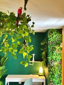 Appartements Jungle Suite ,Terrasse, Wi-Fi & Parking PV : photos des chambres