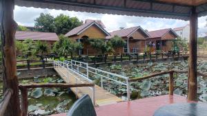 Homestay cam ly thượng