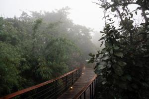 Outpost 12, A Sinali Experience, Kanha