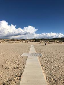 La Vigna di Severino img10