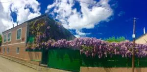 GuestHouse Natali - Sagarejo