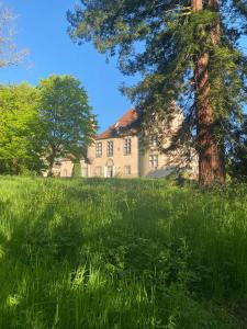 B&B / Chambres d'hotes Chateau de Blot : photos des chambres