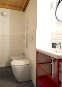 Azalea Riviera dOrta