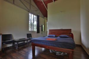 Trippr Chikkamagaluru