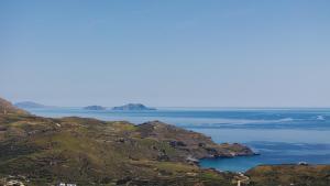 Stella in the Village Studios