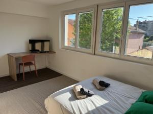 Appartements Residence Claire Roman : photos des chambres
