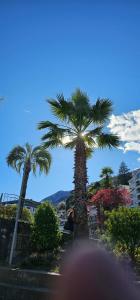 Am See, zentral,ruhig