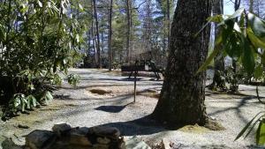 19 ft max RV Site Rental - Standard Back In Water/Electric 20 AMP BRING YOUR OWN RV room in Linville Falls Campground RV Park and Cabins