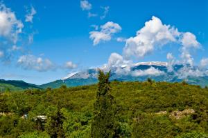 Dioni Houses Olympos Greece