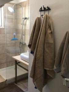 Villas Broceliande la grande maison avec sa grande piscine pool : photos des chambres