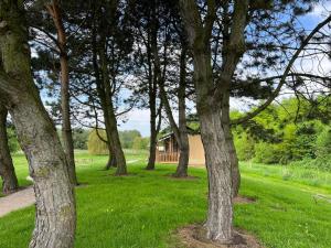 Sunny Lodge 6 persoons