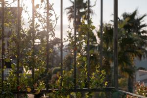 Villas Riviera Mandelieu Villa : photos des chambres