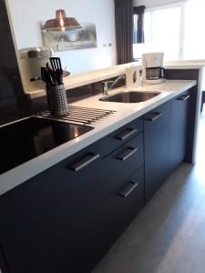 Amelander kaap 46, Lovely 1 bedroom apartment with nice terrace