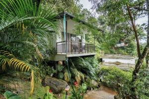 Wild Stories by Bestinn Leisure - Munnar