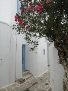 Paros Parikia house