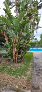 Principe by Penta Dream House
